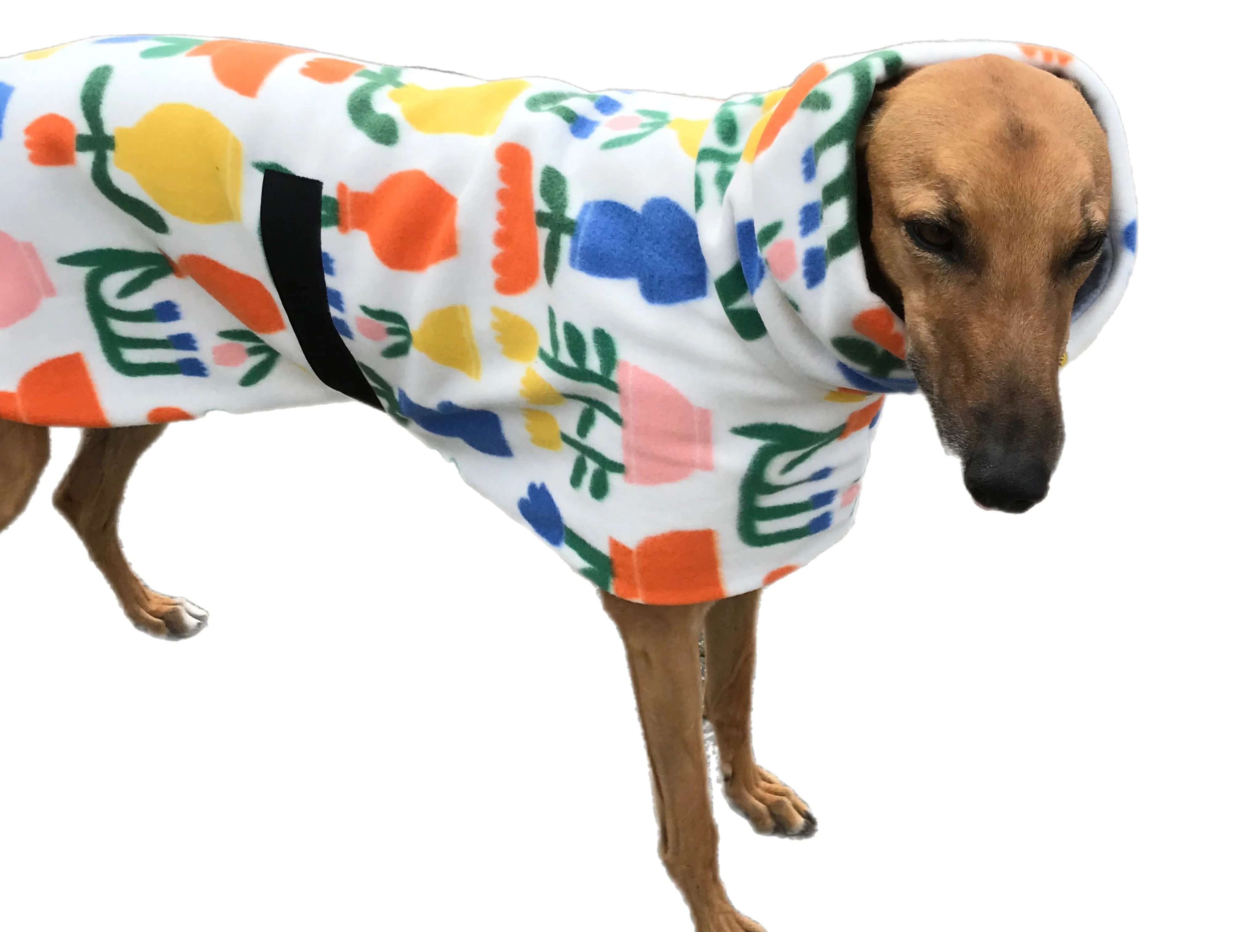 Spring lightweight deluxe style greyhound coat with snuggly wide roll up or down neck roll